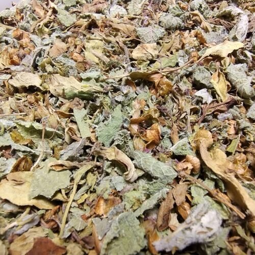 INFUSION BIO – Zeste Zen