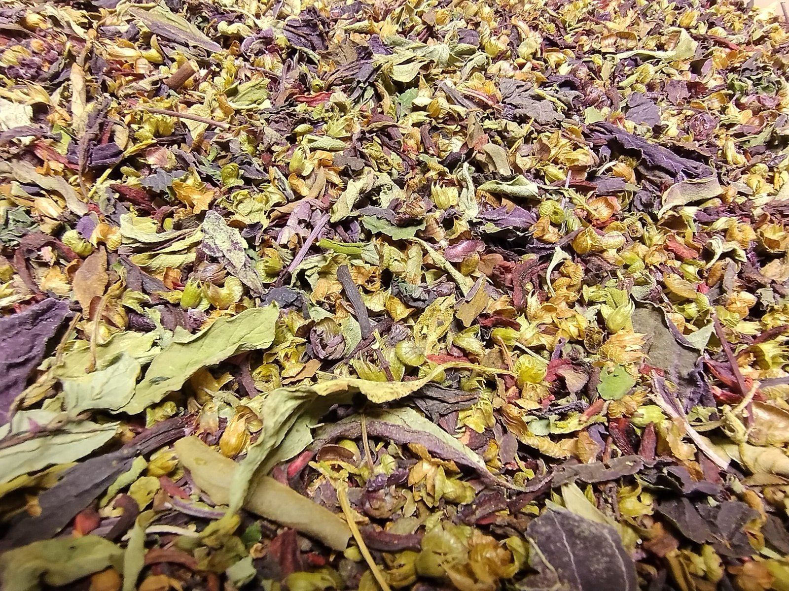 INFUSION BIO - Rubis Vert – Image 3