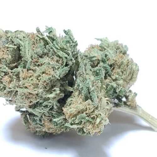 KER&rsquo;OZ – Fleurs de chanvre outdoor BIO