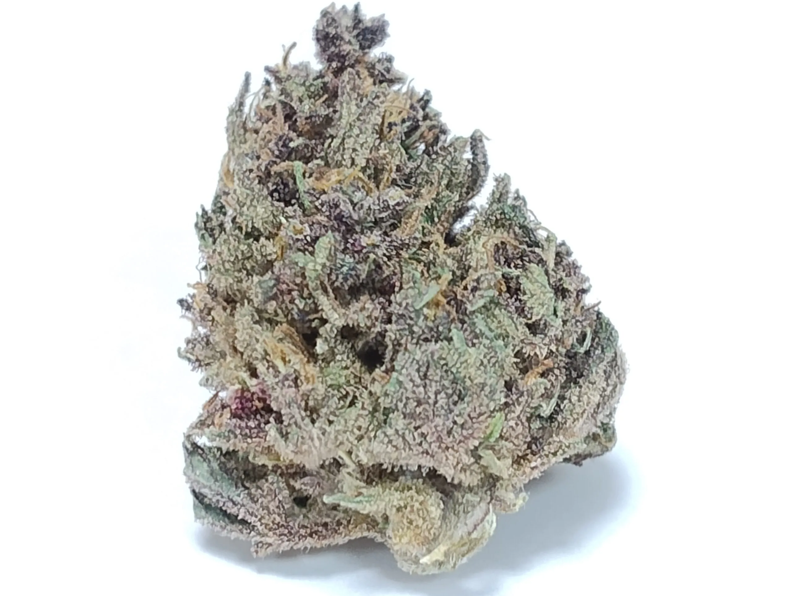 Fleur Pineapple Mimosa bio CannaBZH Bretagne