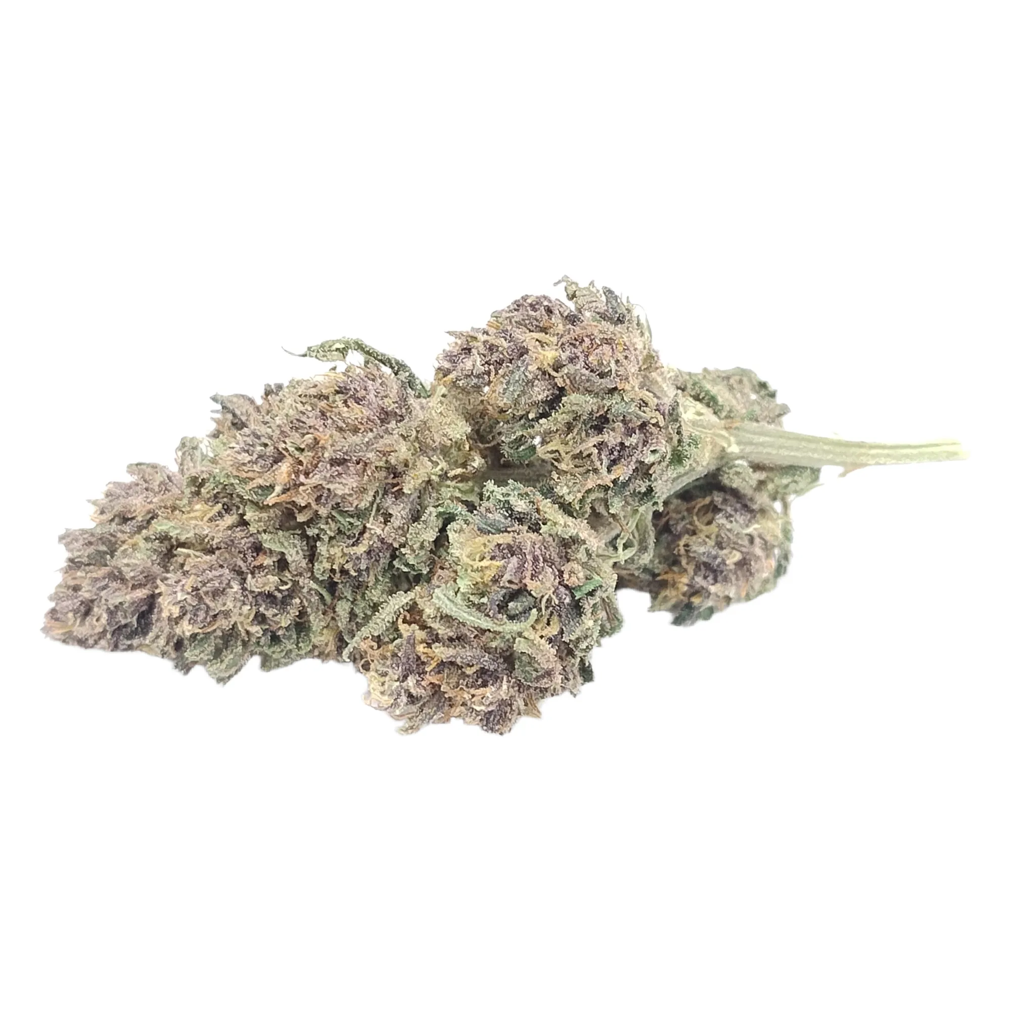 PINEAPPLE MIMOSA - Fleurs de chanvre outdoor BIO – Image 2