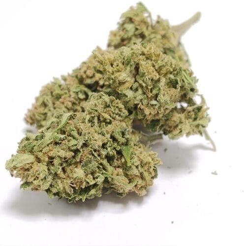 Magic Dream – Fleurs de chanvre outdoor BIO Sélection Limitée