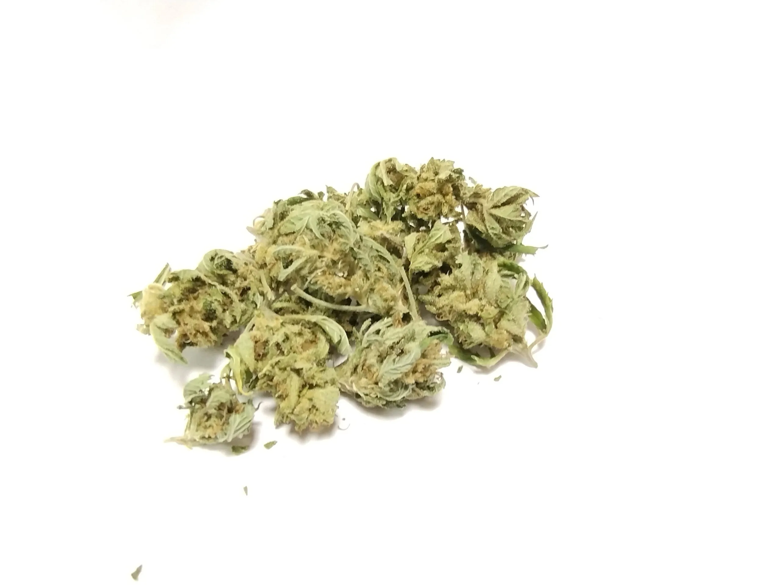 MINI BUDS Magic Dream 10G - Fleurs de chanvre outdoor BIO Sélection Limitée – Image 5