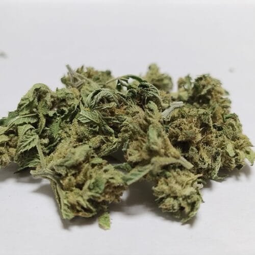 MINI BUDS Magic Dream 10G – Fleurs de chanvre outdoor BIO Sélection Limitée